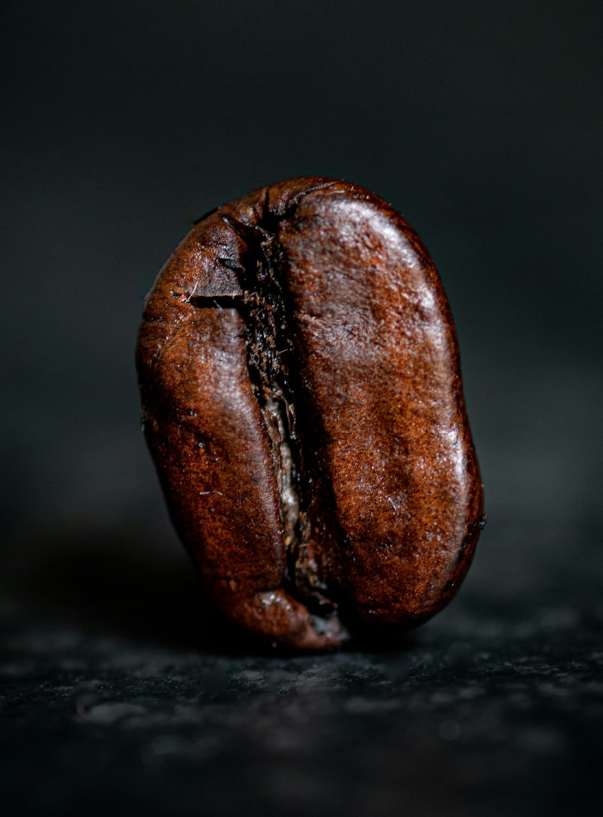 coffee-uganda-tourism 11 Day Uganda Arabica Coffee Origin and Gorilla Safari
