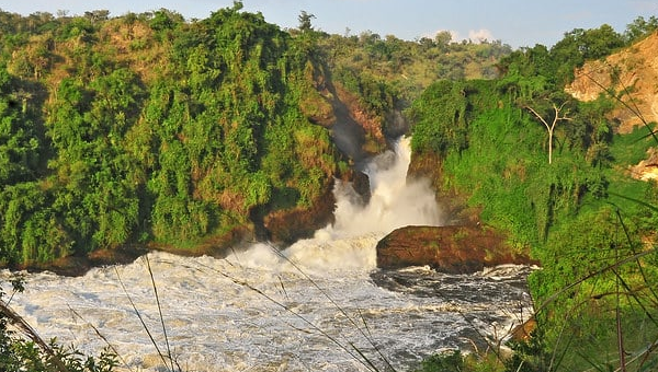 Murchison Falls Safari