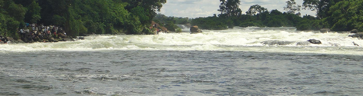 Wildlife safaris