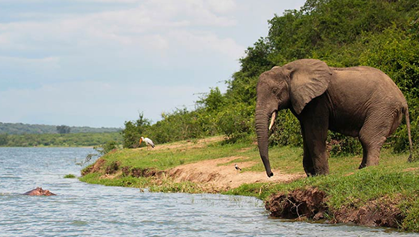 Kazinga Channel Boat ride