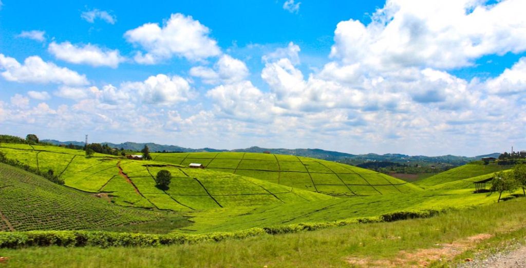 Queen Elizabeth National Park: Uganda's Most Visited National Park! 19