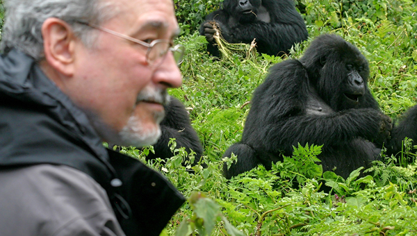 gorilla trekking