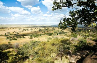 02TN70-IM1002-serengeti-1475 Ngorongoro crater