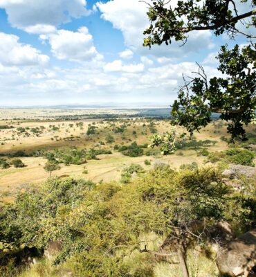 Ngorongoro crater