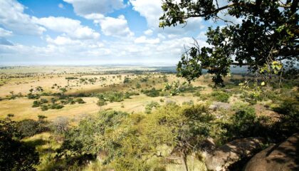 Ngorongoro crater