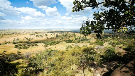 02TN70-IM1002-serengeti-1475 Ngorongoro crater