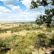 Ngorongoro crater