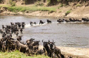 KENYA5 Masai Mara