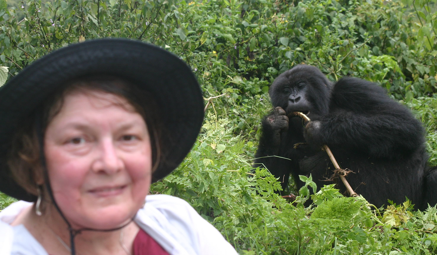 gorilla-track Uganda Kenya Tanzania