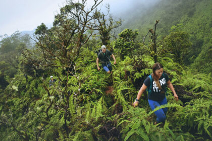 Bwindi Impenetrable Forest National Park