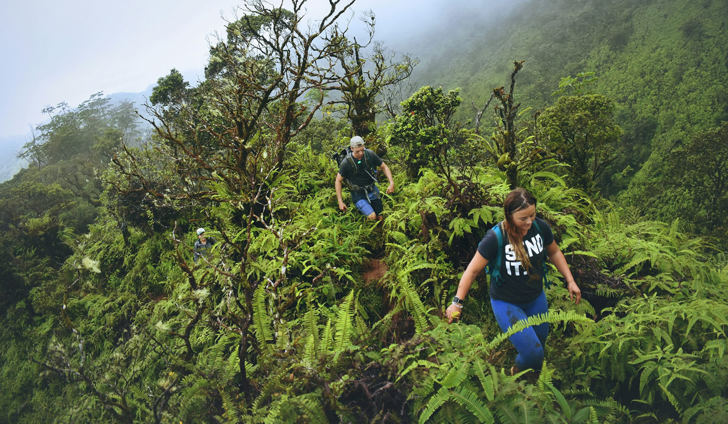 Bwindi Impenetrable Forest National Park