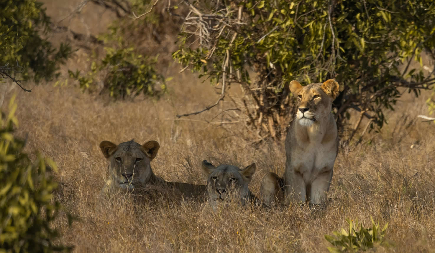 Kidepo Valley National Park