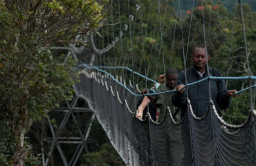 nyungwe Nyungwe Forest National Park Safari