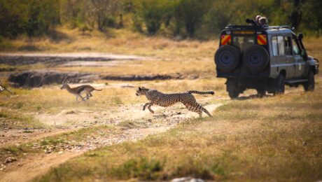 Kenya Safari